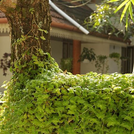 Mi Casa Tu Casa Homestay Kochi Eksteriør bilde